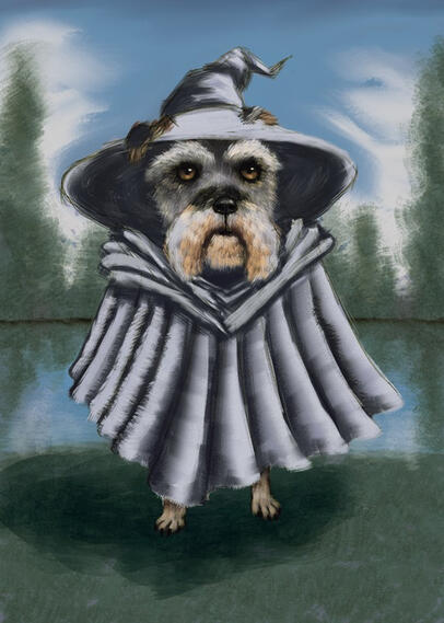 Pet portraits